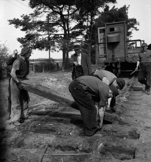 Demontage der Gleisanlagen in Lütjensee, 1952