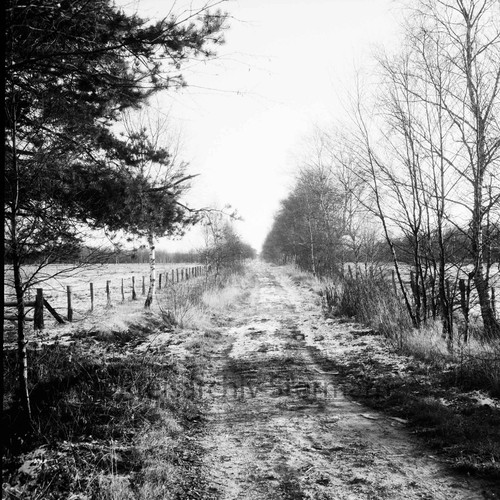 Wiemerskamp: Wanderweg in den Duvenstedter Brook, 1969